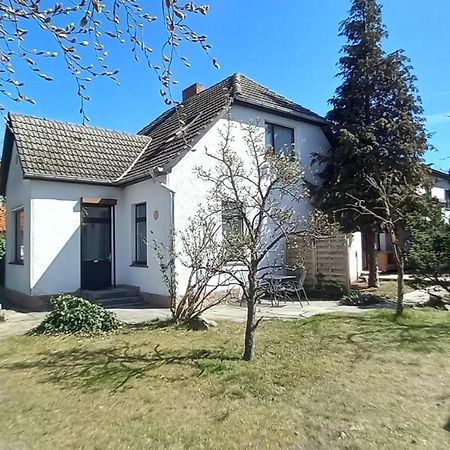 Ferienwohnung Annika Mit Sauna Zinnowitz Buitenkant foto